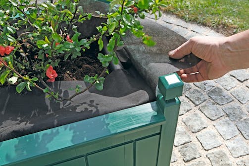 TRALL: HÖGBÄDDAR OCH BLOMLÅDOR TRALL: HÖGBÄDDAR OCH BLOMLÅDOR